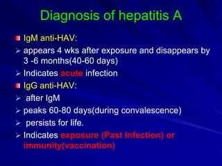 Diagnosis of hepatitis A
IgM anti-HAV:
 appears 4 wks after exposure and disappears by
3 -6 months(40-60 days)
 Indicates acute infection
IgG anti-HAV:
 after IgM
 peaks 60-80 days(during convalescence)
 persists for life.
 Indicates exposure (Past Infection) or
immunity(vaccination)
 