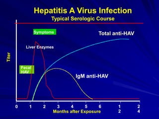 Fecal
HAV
Symptoms
Liver Enzymes
IgM anti-HAV
Total anti-HAV
Months after Exposure
Titer
Typical Serologic Course
0 1 2 3 4 5 6 1
2
2
4
Hepatitis A Virus Infection
 