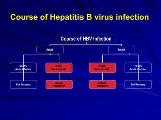 Course of HBV Infection
Adult Infant
90-95%
Acute Infection
Full Recovery
Chronic
Hepatitis B
5-10%
Virus Persists
70-90%
Virus Persists
Chronic
Hepatitis B
10-30%
Acute Infection
Full Recovery
Course of Hepatitis B virus infection
 