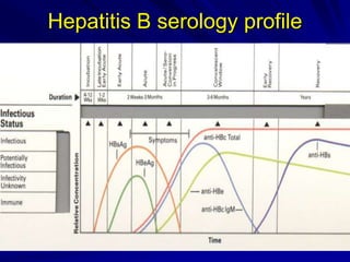 Hepatitis B serology profile
 