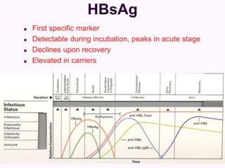 HBsAg
 First specific marker
 Detectable during incubation, peaks in acute stage
 Declines upon recovery
 Elevated in carriers
 