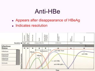 Anti-HBe
 Appears after disappearance of HBeAg
 Indicates resolution
 