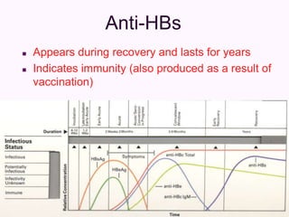 Anti-HBs
 Appears during recovery and lasts for years
 Indicates immunity (also produced as a result of
vaccination)
 