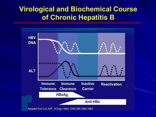 Virological and Biochemical Course
of Chronic Hepatitis B
 