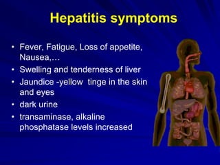 • Fever, Fatigue, Loss of appetite,
Nausea,…
• Swelling and tenderness of liver
• Jaundice -yellow tinge in the skin
and eyes
• dark urine
• transaminase, alkaline
phosphatase levels increased
Hepatitis symptoms
 