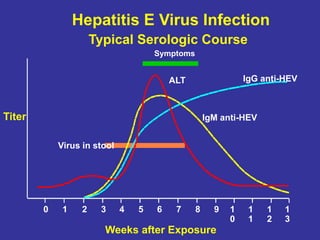 Symptoms
ALT IgG anti-HEV
IgM anti-HEV
Virus in stool
0 1 2 3 4 5 6 7 8 9 1
0
1
1
1
2
1
3
Hepatitis E Virus Infection
Typical Serologic Course
Titer
Weeks after Exposure
 