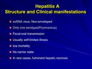 ssRNA virus, Non-enveloped
Only one serotype(Picornavirus)
Fecal-oral transmission
Usually self-limited illness
low mortality
No carrier state
In rare cases, fulminant hepatic necrosis
Hepatitis A
Structure and Clinical manifestations
 
