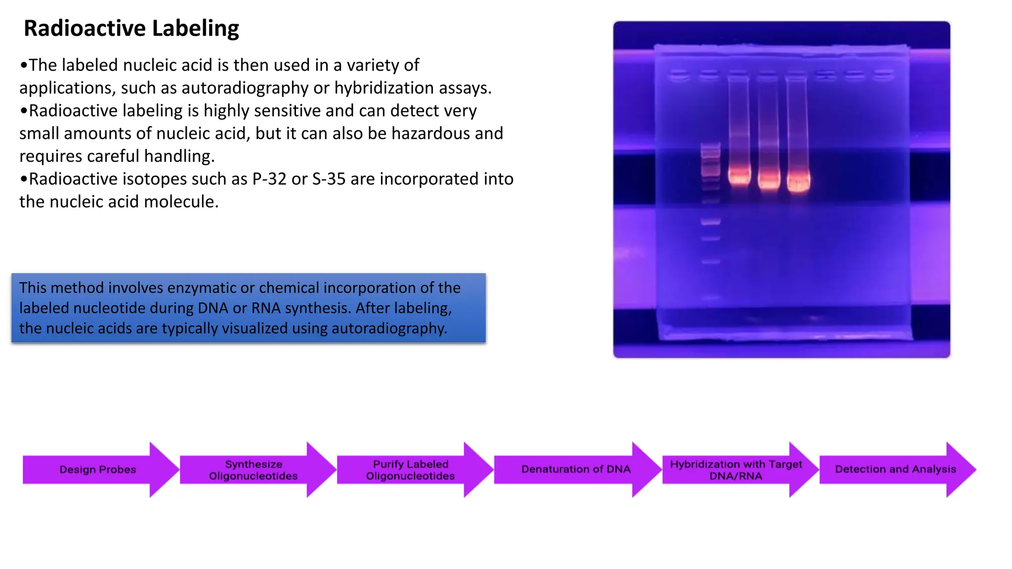 All types of labelling for laboratory techniques PPT