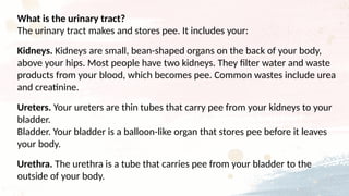 What is the urinary tract?
The urinary tract makes and stores pee. It includes your:
Kidneys. Kidneys are small, bean-shaped organs on the back of your body,
above your hips. Most people have two kidneys. They filter water and waste
products from your blood, which becomes pee. Common wastes include urea
and creatinine.
Ureters. Your ureters are thin tubes that carry pee from your kidneys to your
bladder.
Bladder. Your bladder is a balloon-like organ that stores pee before it leaves
your body.
Urethra. The urethra is a tube that carries pee from your bladder to the
outside of your body.
 