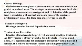 Clinical Findings
Genital warts or condylomata acuminata occur most commonly in the
genital or perianal areas. The serotypes most commonly associated with
condylomata acuminate are serotypes 6 and 11. Infection of the genital
tract is associated with cervical and penile cancer. The serotypes
predominantly isolated in these case are serotypes 16 and 18.
Laboratory Diagnosis
Histologic examination and Papanicolaou smear.
Treatment and Prevention
Injection of interferon is the preferred and most beneficial treatment.
An HPV vaccine is already available for individuals 11 years old and
above. It is recommended for adolescents and sexually active males and
females. It is either a tetravalent vaccine containing serotypes 6,11,16,
 