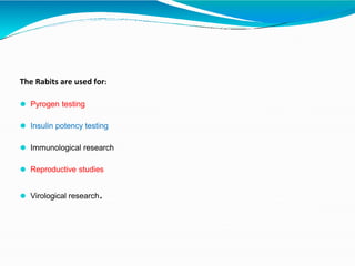 Laboratory-animals PPT-1.pptx