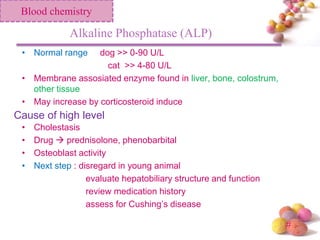 Laboratory Interpretation K K | PPSX