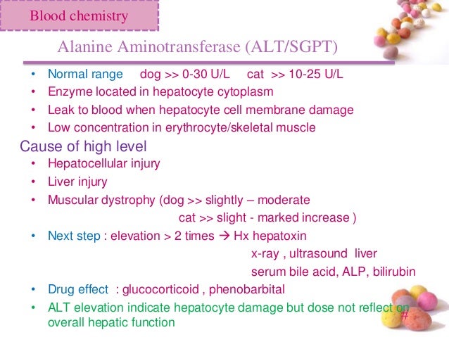 Laboratory Interpretation K K