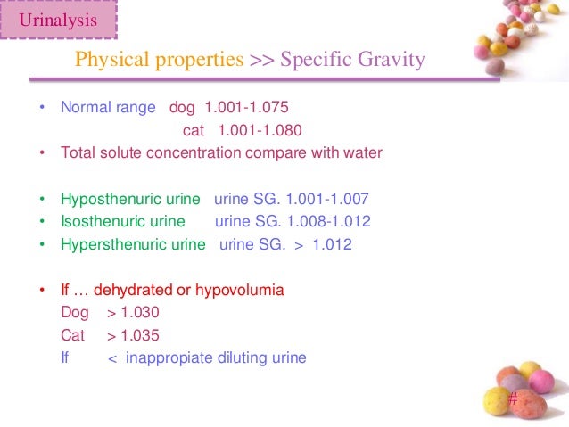urine specific gravity range urine specific gravity range