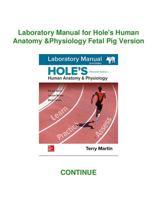 Download Pdf Laboratory Manual For Hole S Human Anatomy Physiolog