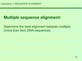 24
Laboratory 1: SEQUENCE ALIGNMENT
Multiple sequence alignment:
Determine the best alignment between multiple
(more than two) DNA-sequences.
 