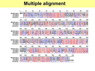 26
Multiple alignment
 