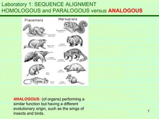 7
Laboratory 1: SEQUENCE ALIGNMENT
HOMOLOGOUS and PARALOGOUS versus ANALOGOUS
ANALOGOUS: (of organs) performing a
similar function but having a different
evolutionary origin, such as the wings of
insects and birds.
 