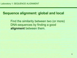 9
Laboratory 1: SEQUENCE ALIGNMENT
Sequence alignment: global and local
Find the similarity between two (or more)
DNA-sequences by finding a good
alignment between them.
 