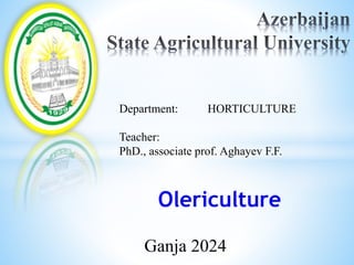 Olericulture
Department: HORTICULTURE
Teacher:
PhD., associate prof. Aghayev F.F.
Ganja 2024
 
