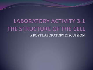 Laboratory activity 3 (post lab) | PPTX