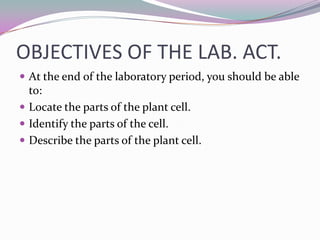 Laboratory activity 3 (post lab) | PPTX
