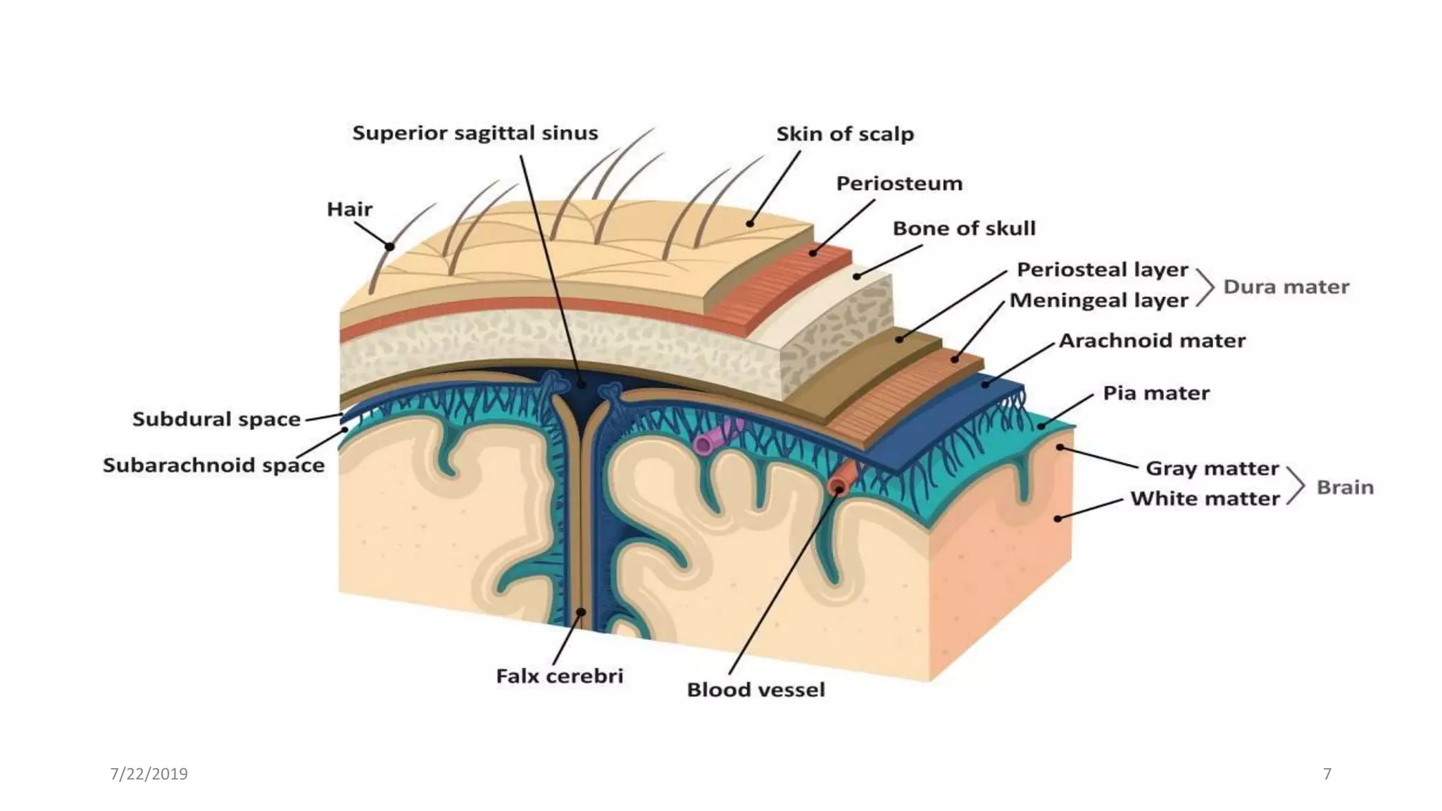 fddf
•vdfd
7/22/2019 7
 