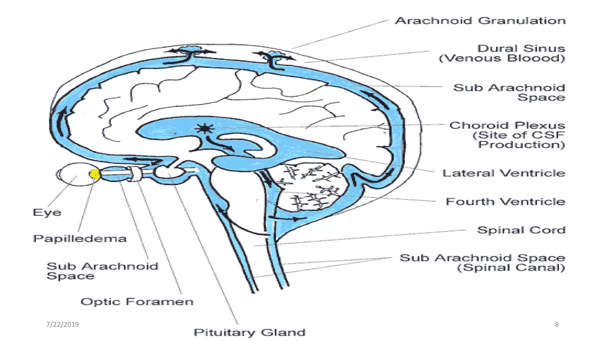 fddf
•vdfd
7/22/2019 8
 
