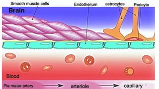 Laboratory analysis of csf | PPTX