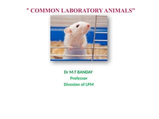 Laboratory animals used for conduct of biological research | PPTX