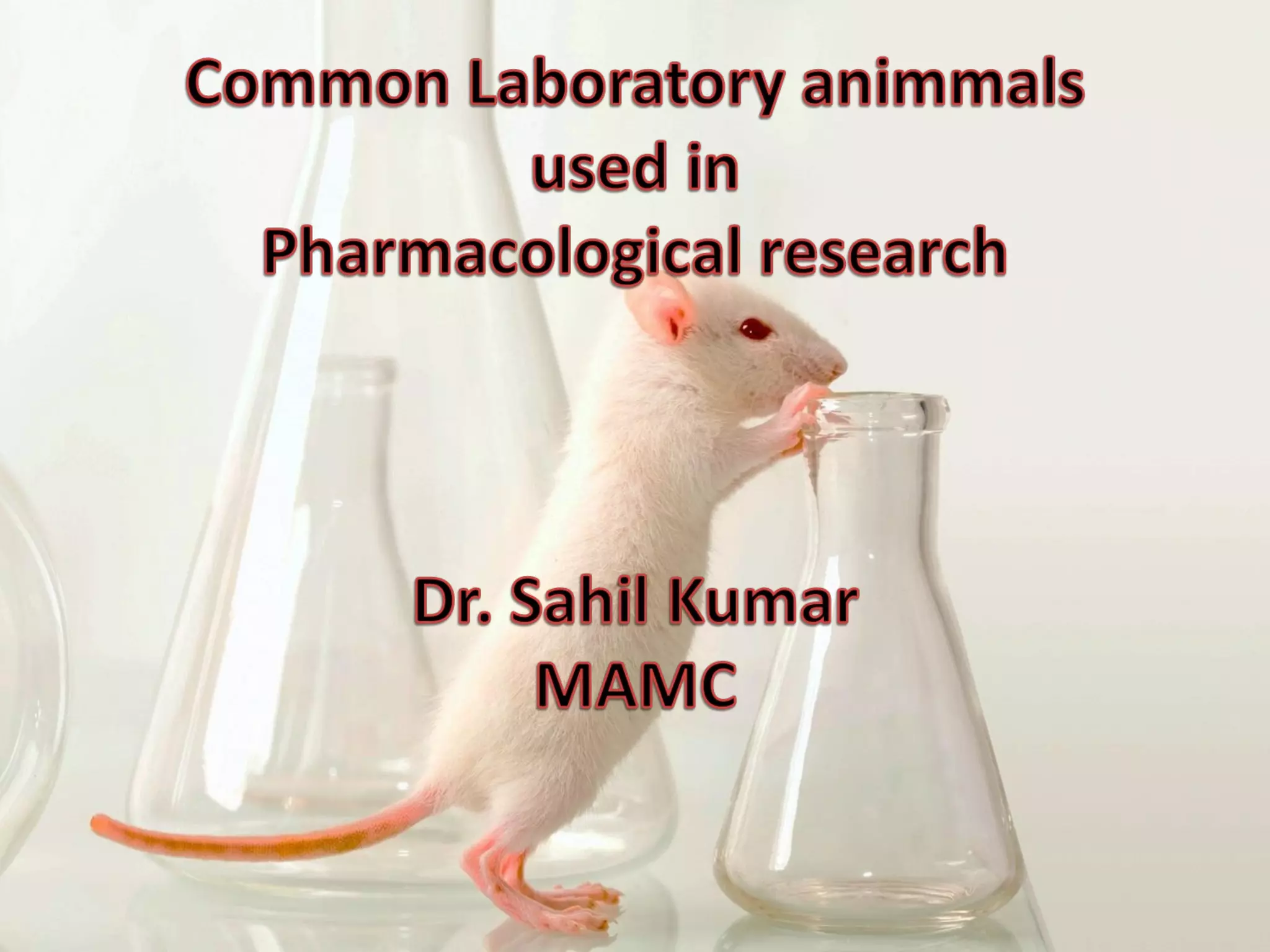Laboratory Animals | PPT | Genetics | Science - A Large Population Of Laboratory Animals