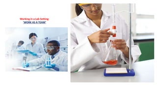 Lab Work 101 General Chemistry 101/102 Common Laboratory Apparatus | PPTX