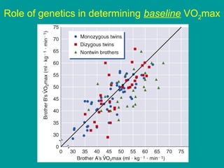Role of genetics in determining baseline VO2max

 