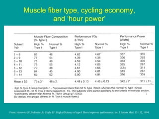 Muscle fiber type, cycling economy,
and ‘hour power’

From: Horowitz JF, Sidossis LS, Coyle EF. High efficiency of type I fibers improves performance. Int. J. Sports Med. 15:152, 1994.

 