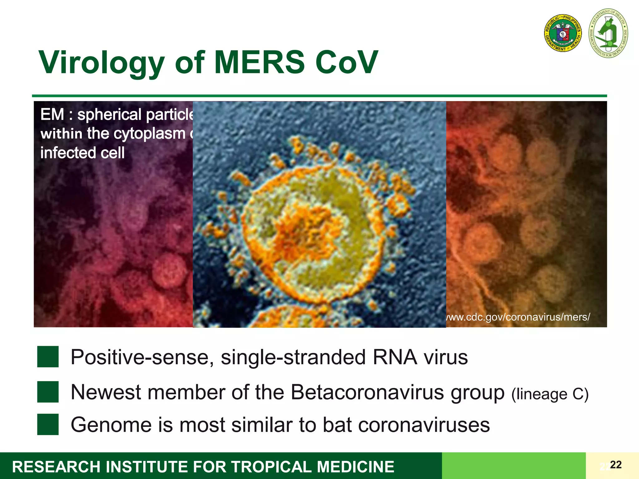 22RESEARCH INSTITUTE FOR TROPICAL MEDICINE
Virology of MERS CoV
22
http://www.cdc.gov/coronavirus/mers/
EM : spherical particles
within the cytoplasm of an
infected cell
Positive-sense, single-stranded RNA virus
Newest member of the Betacoronavirus group (lineage C)
Genome is most similar to bat coronaviruses
 
