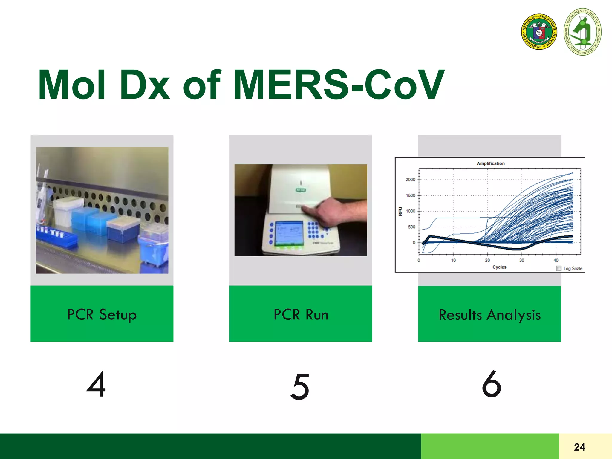 Mol Dx of MERS-CoV
24
PCR Setup PCR Run Results Analysis
4 5 6
 