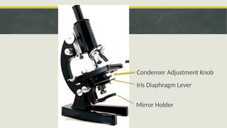 Comprehensive Overview of Microscopy: History, Types, and Usage in ...