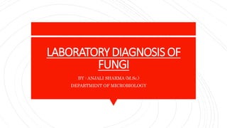 LABORATORY DIAGNOSIS OF
FUNGI
BY : ANJALI SHARMA (M.Sc.)
DEPARTMENT OF MICROBIOLOGY
 