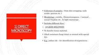 1)DIRECT
MICROSCOPY
Collection of samples – from skin scrapping, nails
scrabs ,sputum etc .)
Morphology : conidia , filamentousspores , ( asexual ,
sexual ) hyphae etc . In light microscope .
Includes different dyes :
1. 10%KOH SOLUTION:
To dissolve tissue material.
Alkali resistance fungi intact or stained with special
dye.
E.g: indian ink – for identification of cryptococcus .