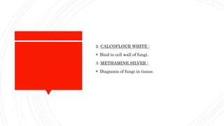 2. CALCOFLOUR WHITE :
Bind to cell wall of fungi.
3. METHAMINE SILVER :
Diagnosis of fungi in tissue.