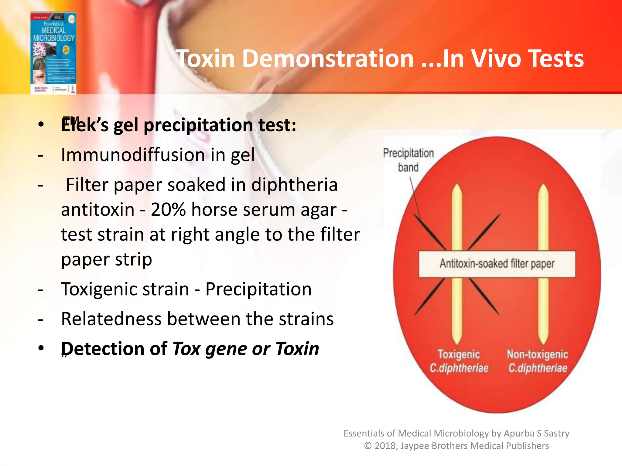 Eleck Laboratory Diagnosis.pptxvvcbcbvvvvvvvvvvvvvvvvvv | PPTX