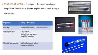 Trans Isolate Medium LABORATORY DIAGNOSIS | PPTX