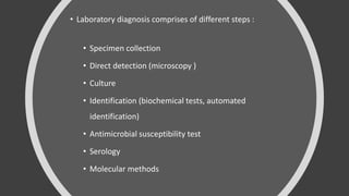 • Laboratory diagnosis comprises of different steps :
• Specimen collection
• Direct detection (microscopy )
• Culture
• I...