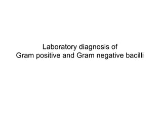Laboratory diagnosis of 
Gram positive and Gram negative bacilli 
 