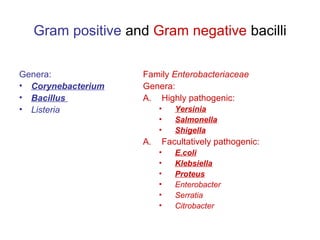 gram negative coccobacilli list
