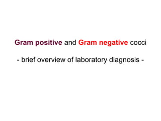 Gram positive and Gram negative cocci 
- brief overview of laboratory diagnosis - 
 