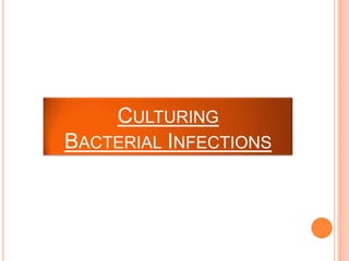 CULTURING
BACTERIAL INFECTIONS
 