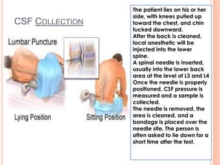 CSF COLLECTION
The patient lies on his or her
side, with knees pulled up
toward the chest, and chin
tucked downward.
After the back is cleaned,
local anesthetic will be
injected into the lower
spine.
A spinal needle is inserted,
usually into the lower back
area at the level of L3 and L4
Once the needle is properly
positioned, CSF pressure is
measured and a sample is
collected.
The needle is removed, the
area is cleaned, and a
bandage is placed over the
needle site. The person is
often asked to lie down for a
short time after the test.
 