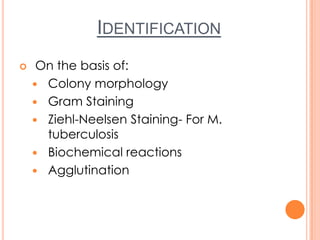 IDENTIFICATION
 On the basis of:
 Colony morphology
 Gram Staining
 Ziehl-Neelsen Staining- For M.
tuberculosis
 Biochemical reactions
 Agglutination
 