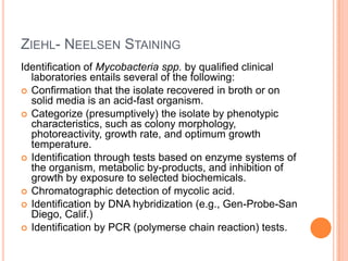 ZIEHL- NEELSEN STAINING
Identification of Mycobacteria spp. by qualified clinical
laboratories entails several of the following:
 Confirmation that the isolate recovered in broth or on
solid media is an acid-fast organism.
 Categorize (presumptively) the isolate by phenotypic
characteristics, such as colony morphology,
photoreactivity, growth rate, and optimum growth
temperature.
 Identification through tests based on enzyme systems of
the organism, metabolic by-products, and inhibition of
growth by exposure to selected biochemicals.
 Chromatographic detection of mycolic acid.
 Identification by DNA hybridization (e.g., Gen-Probe-San
Diego, Calif.)
 Identification by PCR (polymerse chain reaction) tests.
 